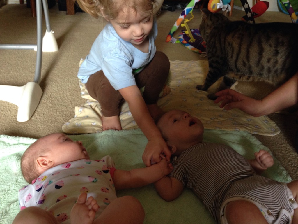 10171582_10101993446274777_1864460391_o