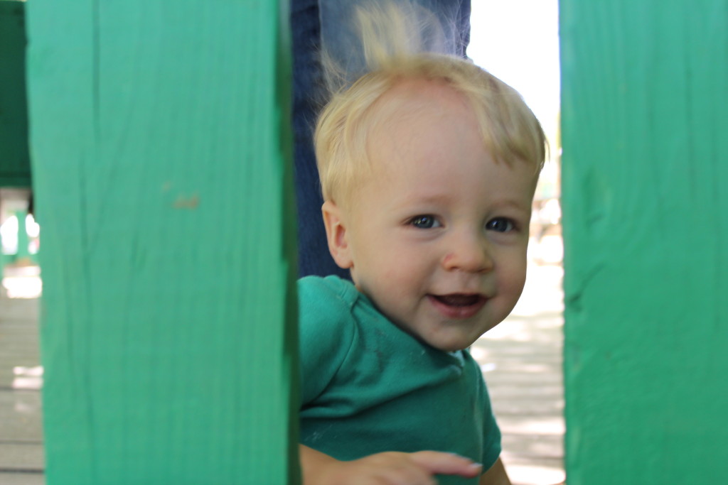 123531 - Canon - Canon EOS REBEL T3i